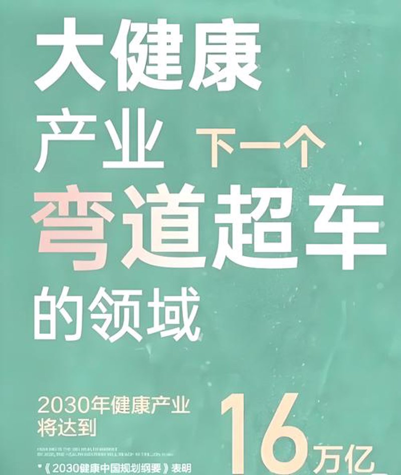 健康产业服务：在健康与科技的交汇处把握未来